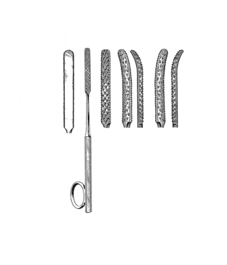Gallaher Rasp, Straight, Coarse Teeth, 6.5" (16.5 Cm)